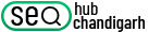 seohubchandigarh.com